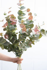 Faux eucalyptus spray real touch, blush tipped artificial eucalyptus