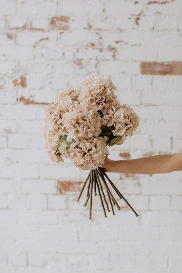 Cream dry look hydrangea, faux bleached look hydrangea, diy wedding flowers