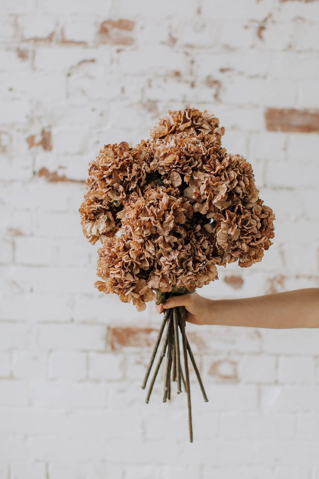 Brown dry look hydrangea, diy wedding flowers, crispy faux hydrangea stem