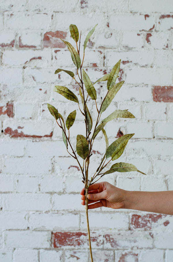 Green dry look eucalyptus spray single stem 70cm tall