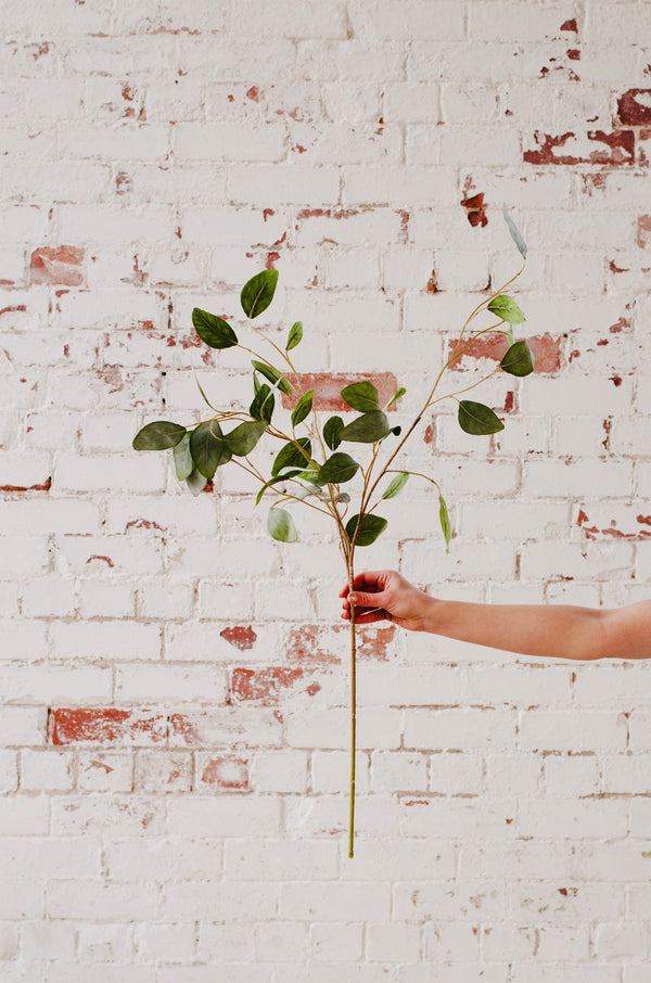 Faux eucalyptus populus, artificial eucalyptus single stem