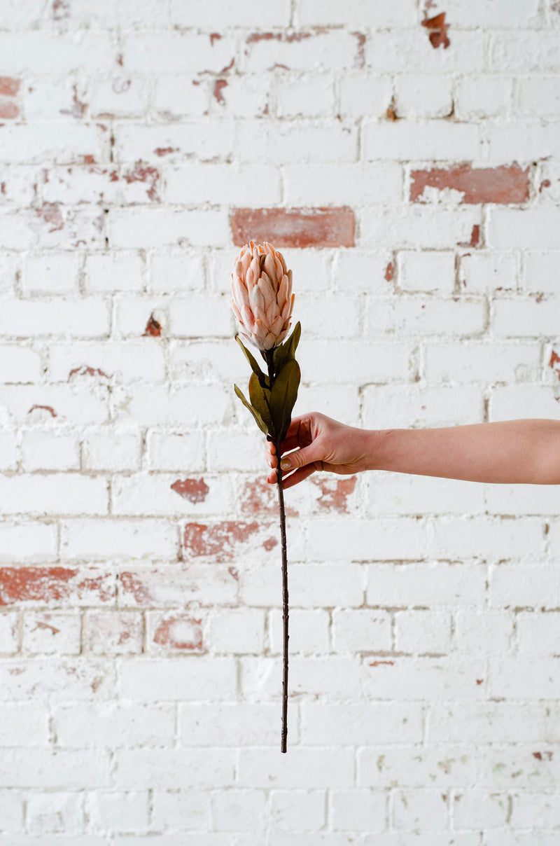 Faux flower protea stem beige, diy wedding flowers